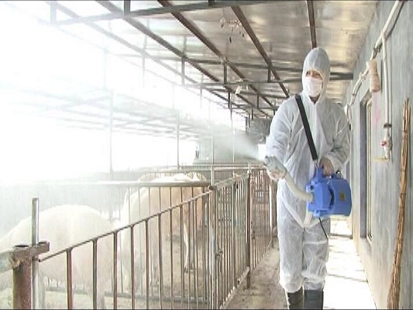 养殖场专用消毒剂 养殖场专用消毒剂